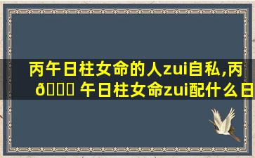 丙午日柱女命的人zui
自私,丙 🐕 午日柱女命zui
配什么日柱
